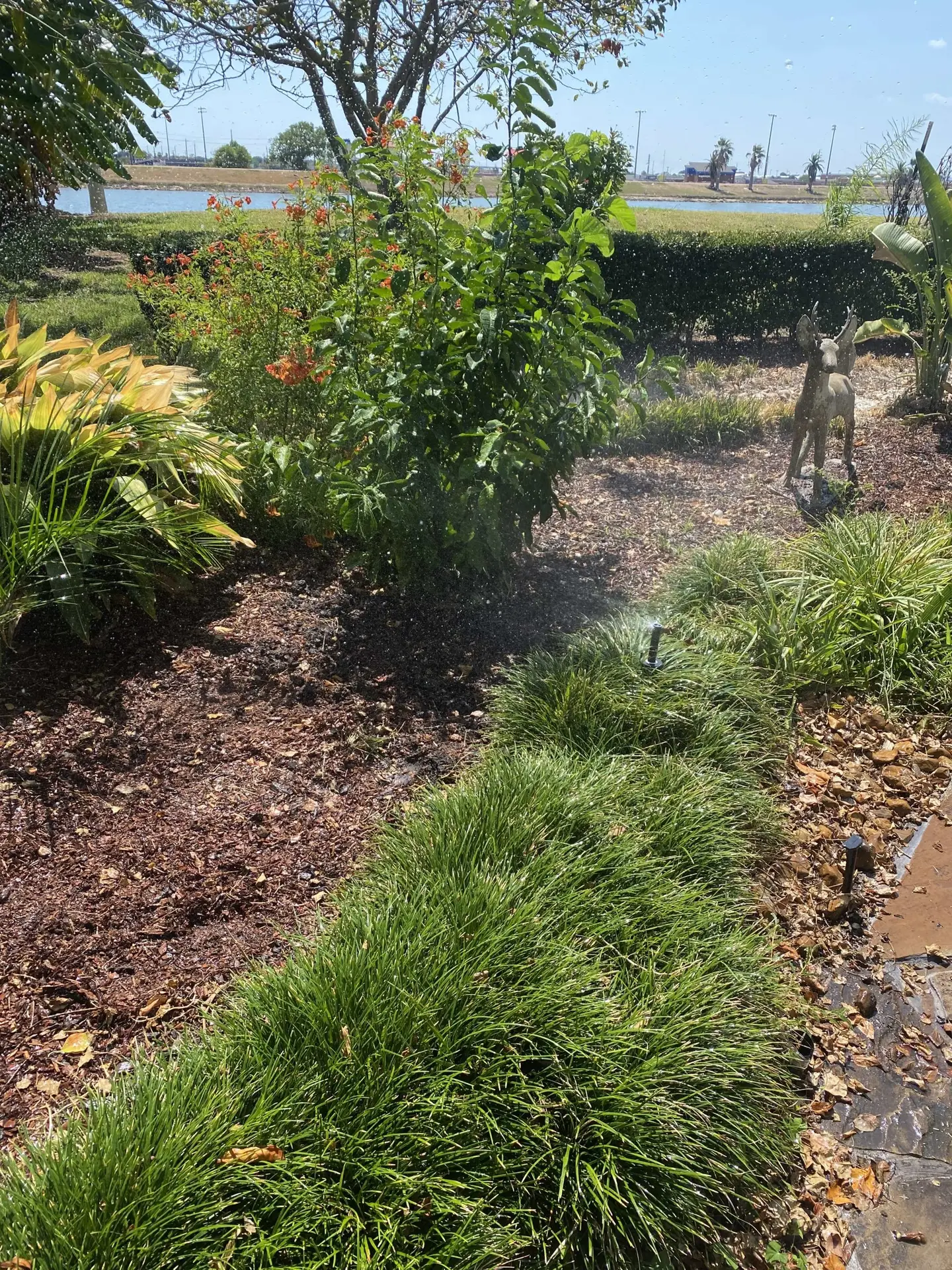 Irrigation repair Haslet