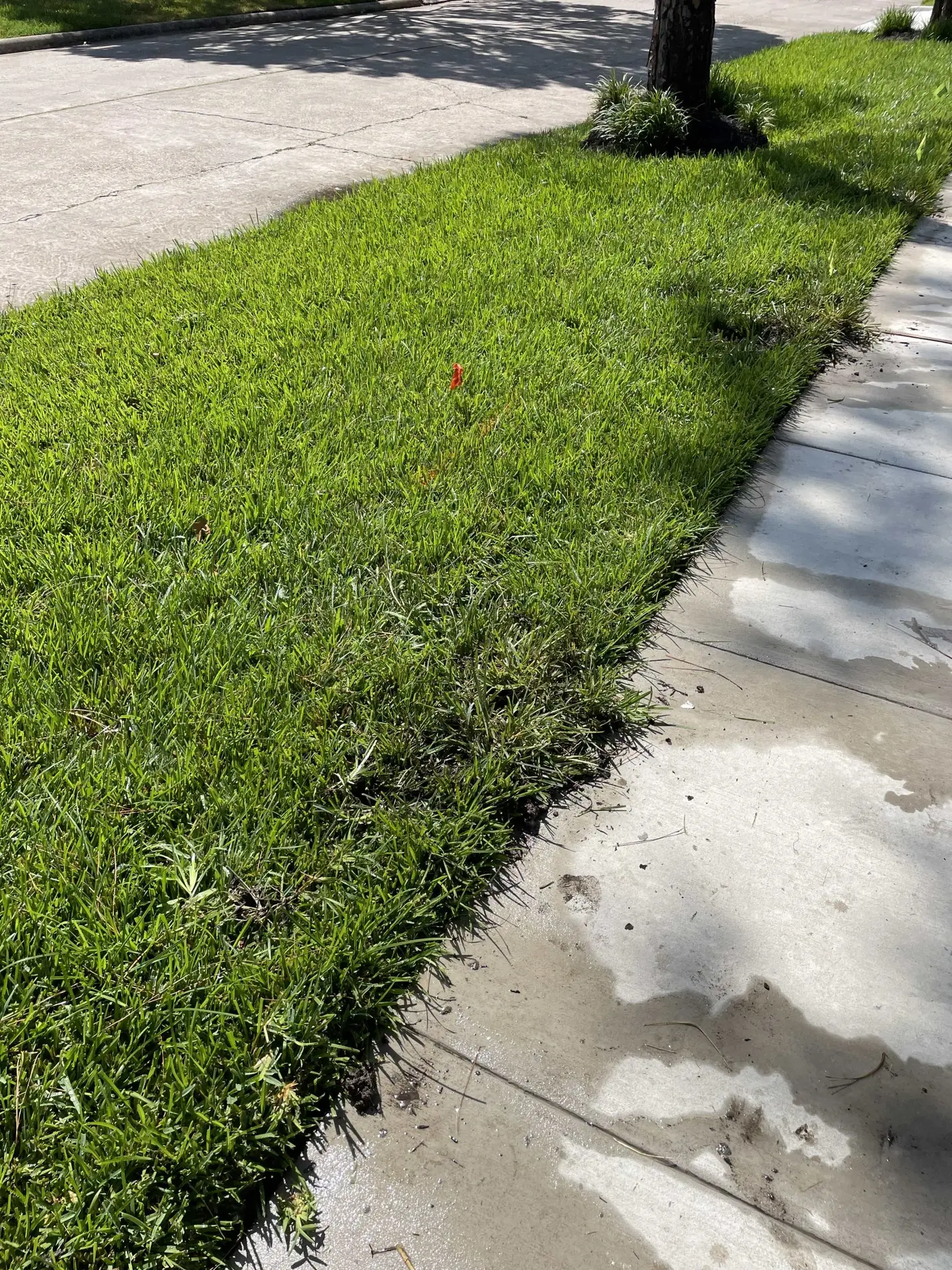 Kennedale Irrigation repair