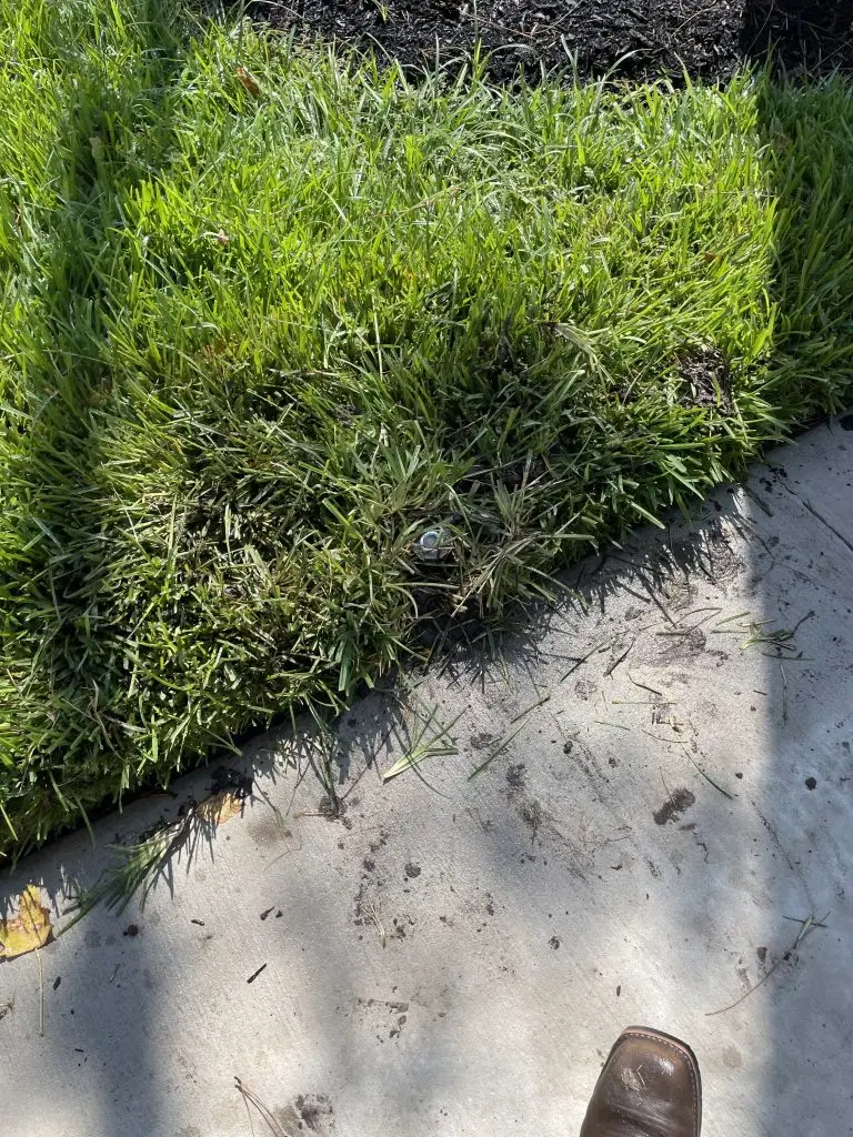 irrigation repair in Kingwood TX