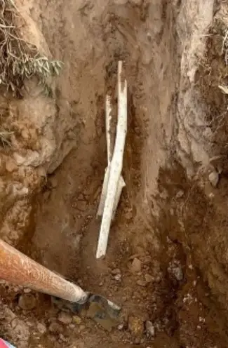 Mission Bend sprinkler repair