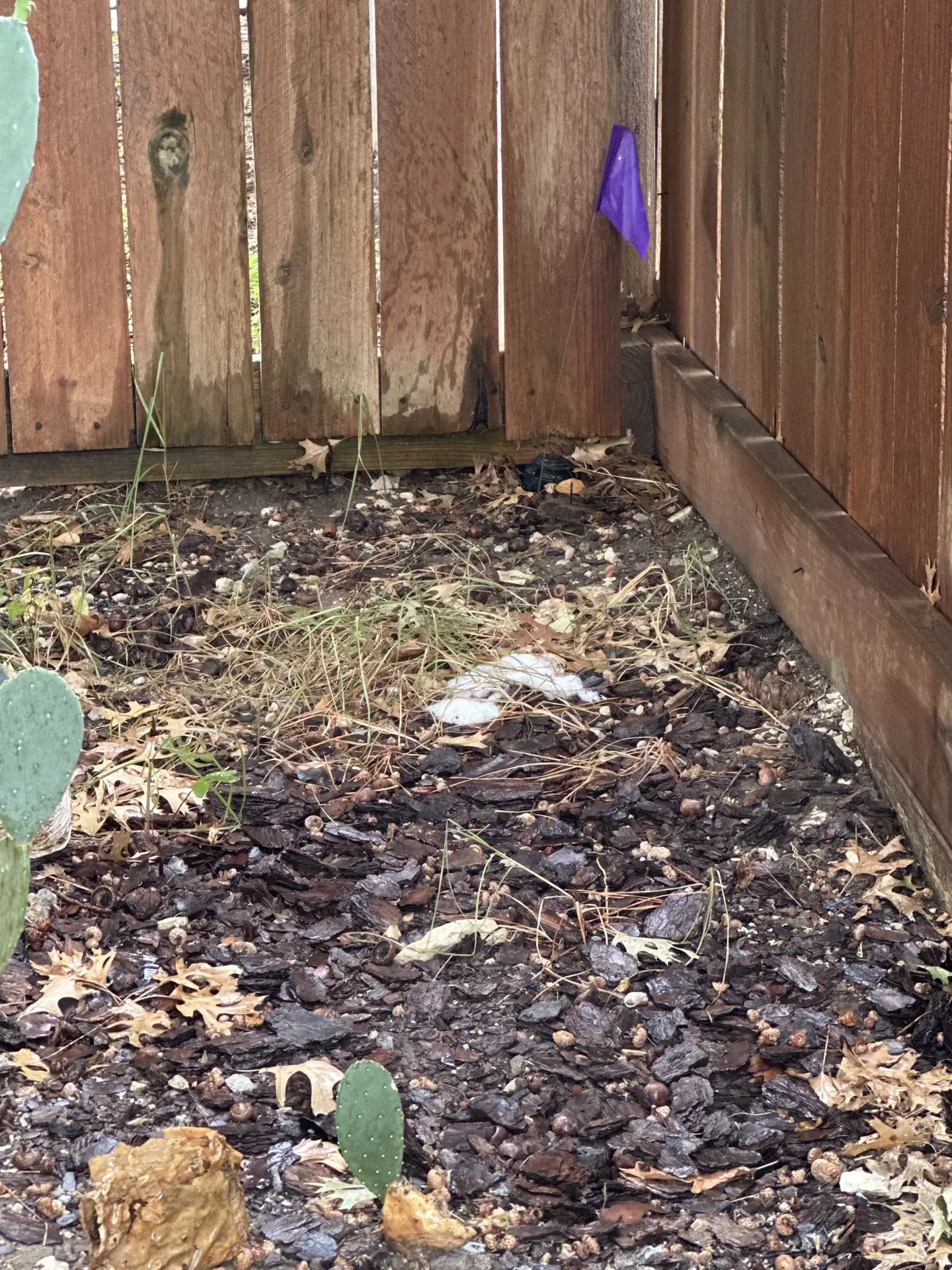 Nassau Bay sprinkler repair