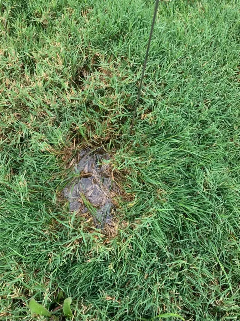 sprinkler repair in New Braunfels TX