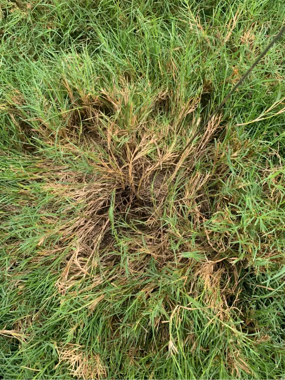 irrigation repair in New Territory