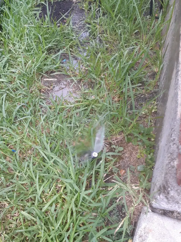 Pantego sprinkler repair