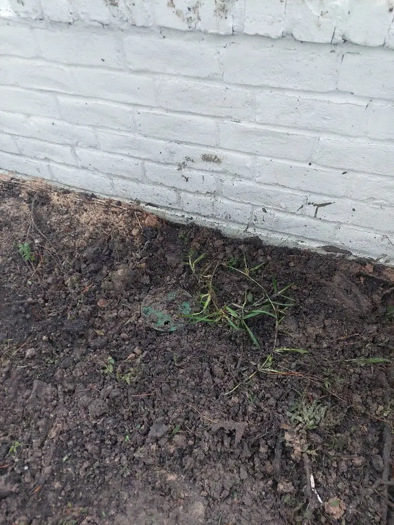 Pelican Bay sprinkler repair