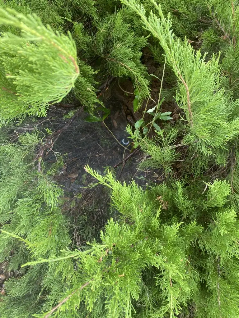 Porter sprinkler repair