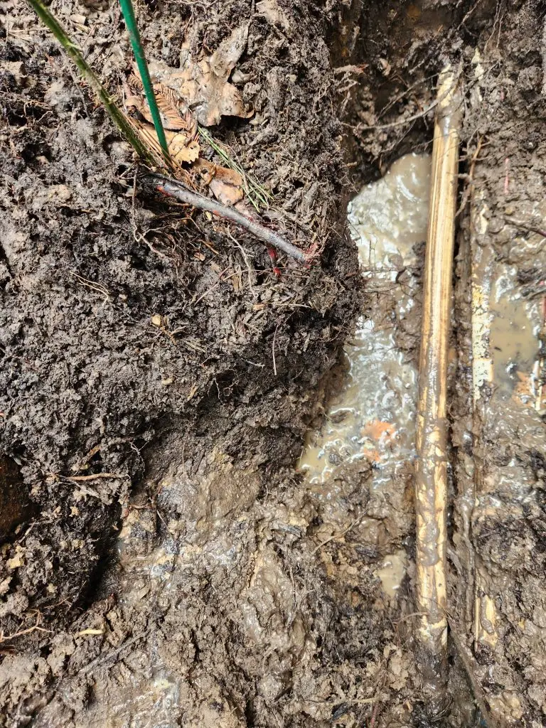 Rosenberg sprinkler repair