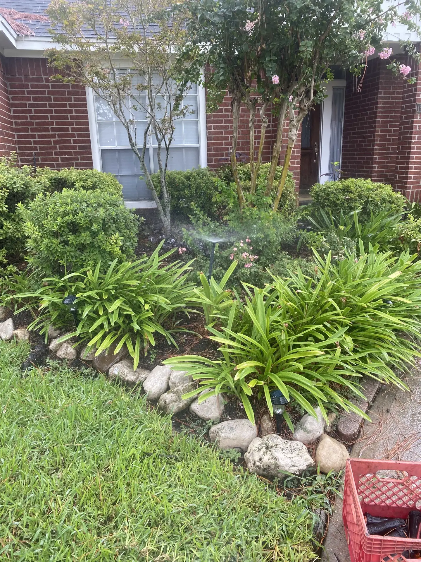 Sanger irrigation repair