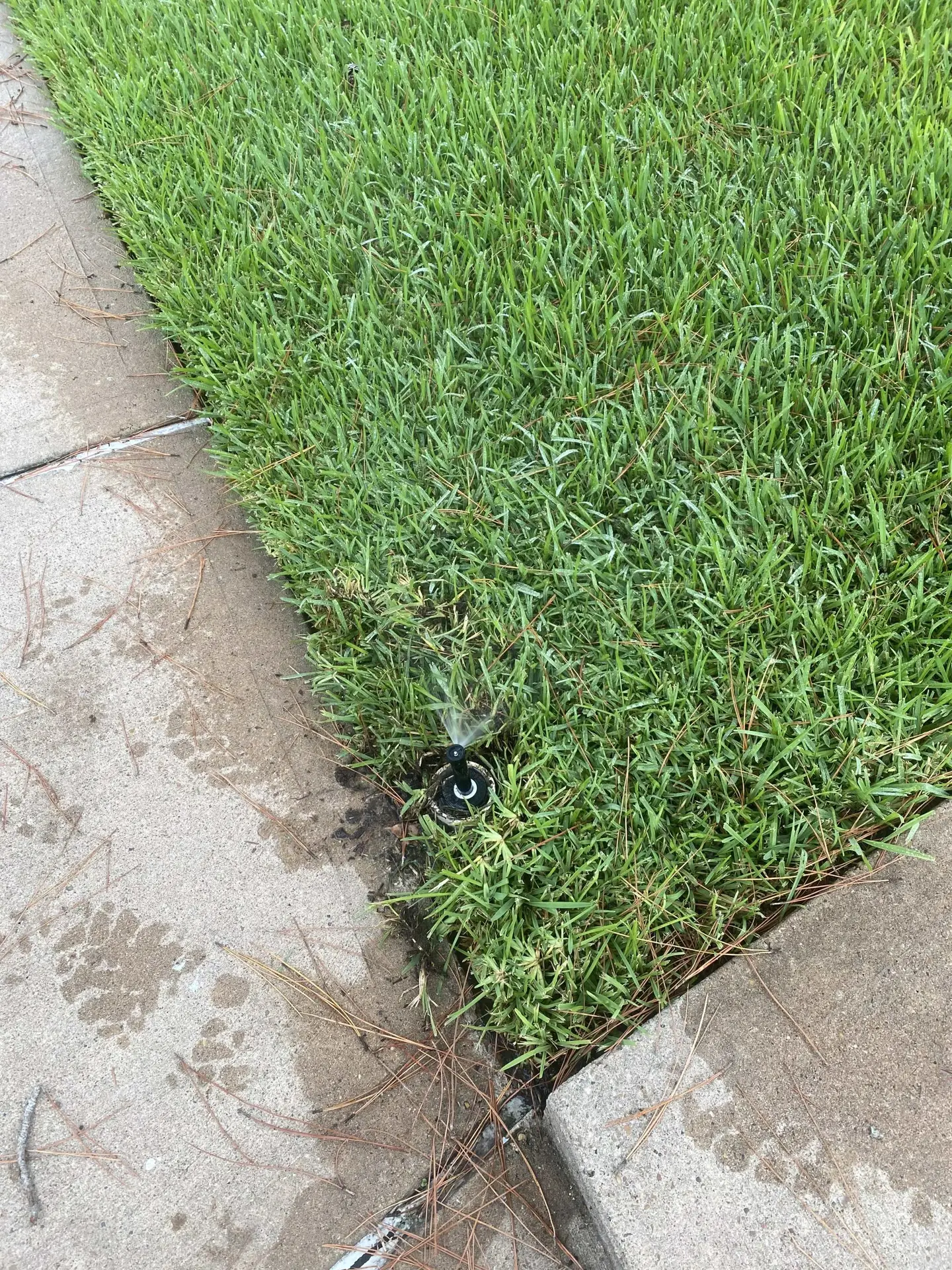 irrigation repair in Sansom Park