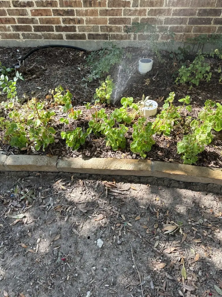 Sansom Park irrigation repair