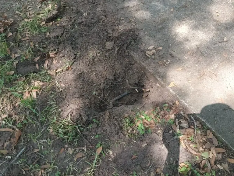 sprinkler repair
