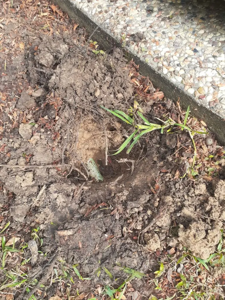 Alvin sprinkler repair