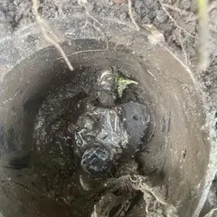 sprinkler valve replacement in Argyle TX