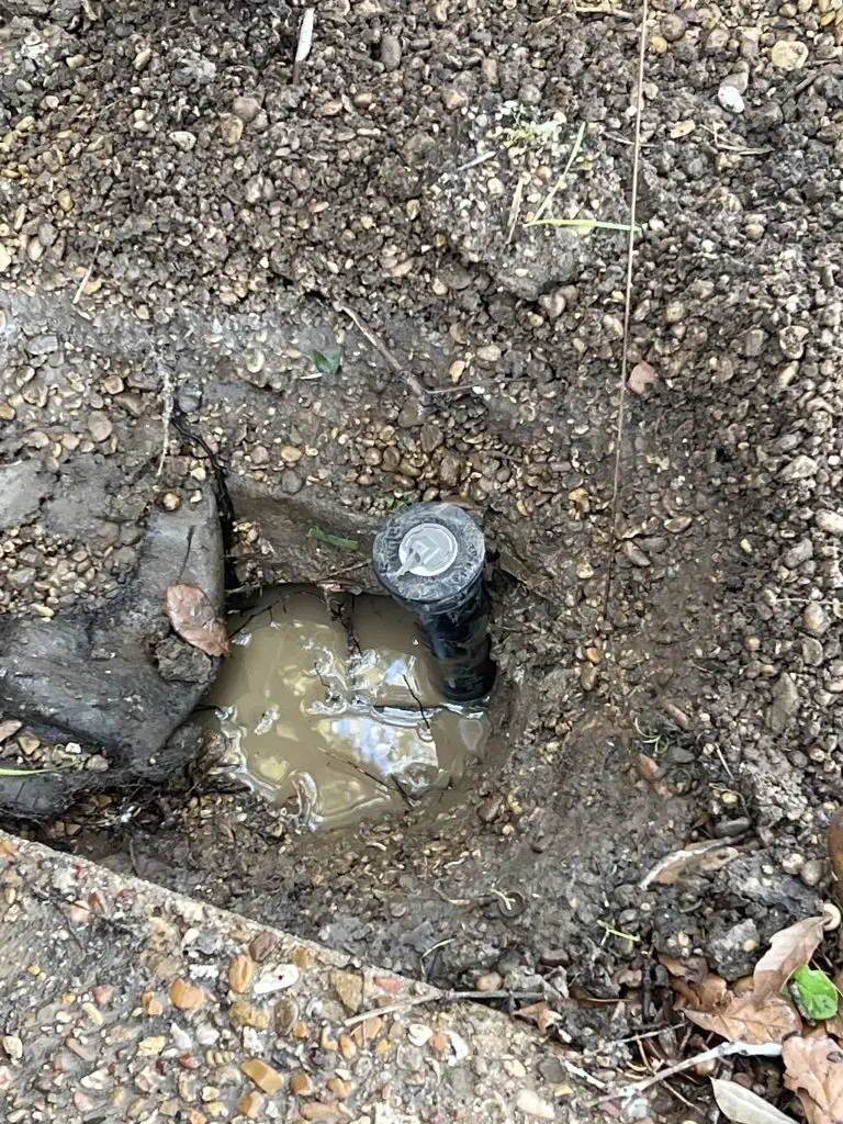 sprinkler head leaking