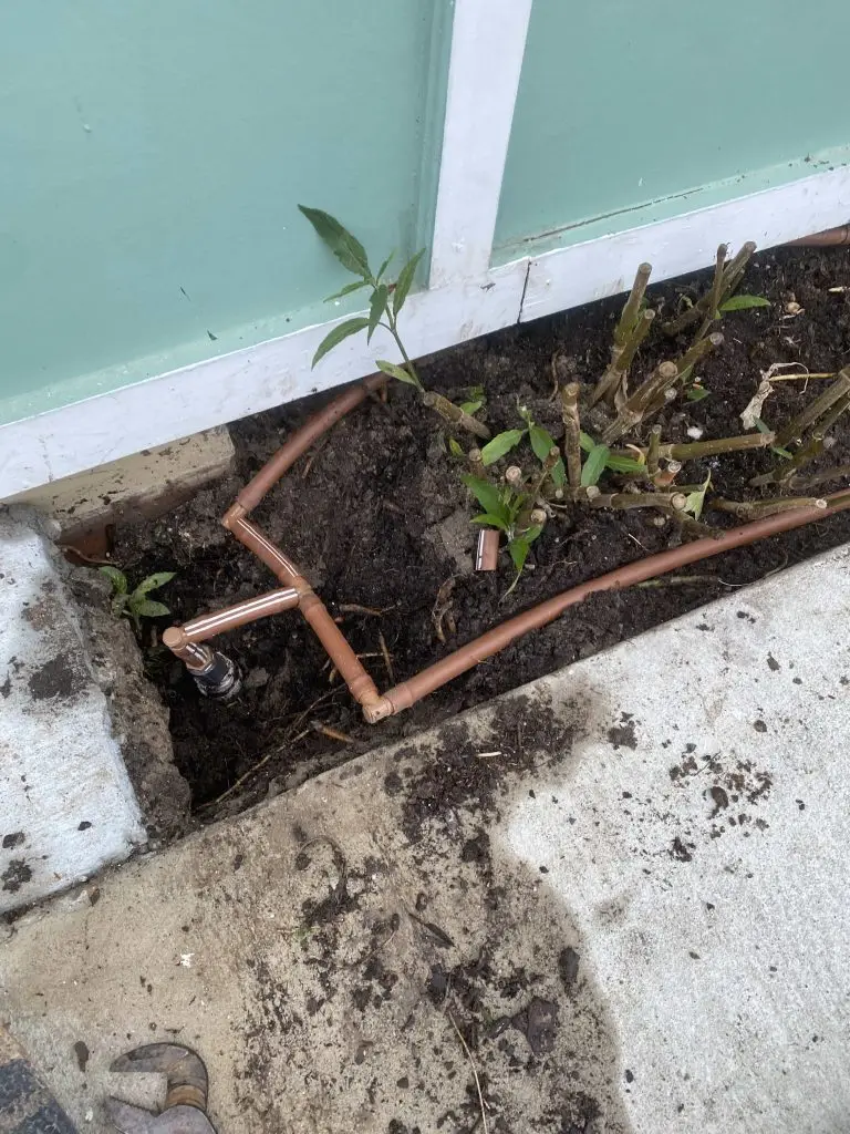 sprinkler drip irrigation