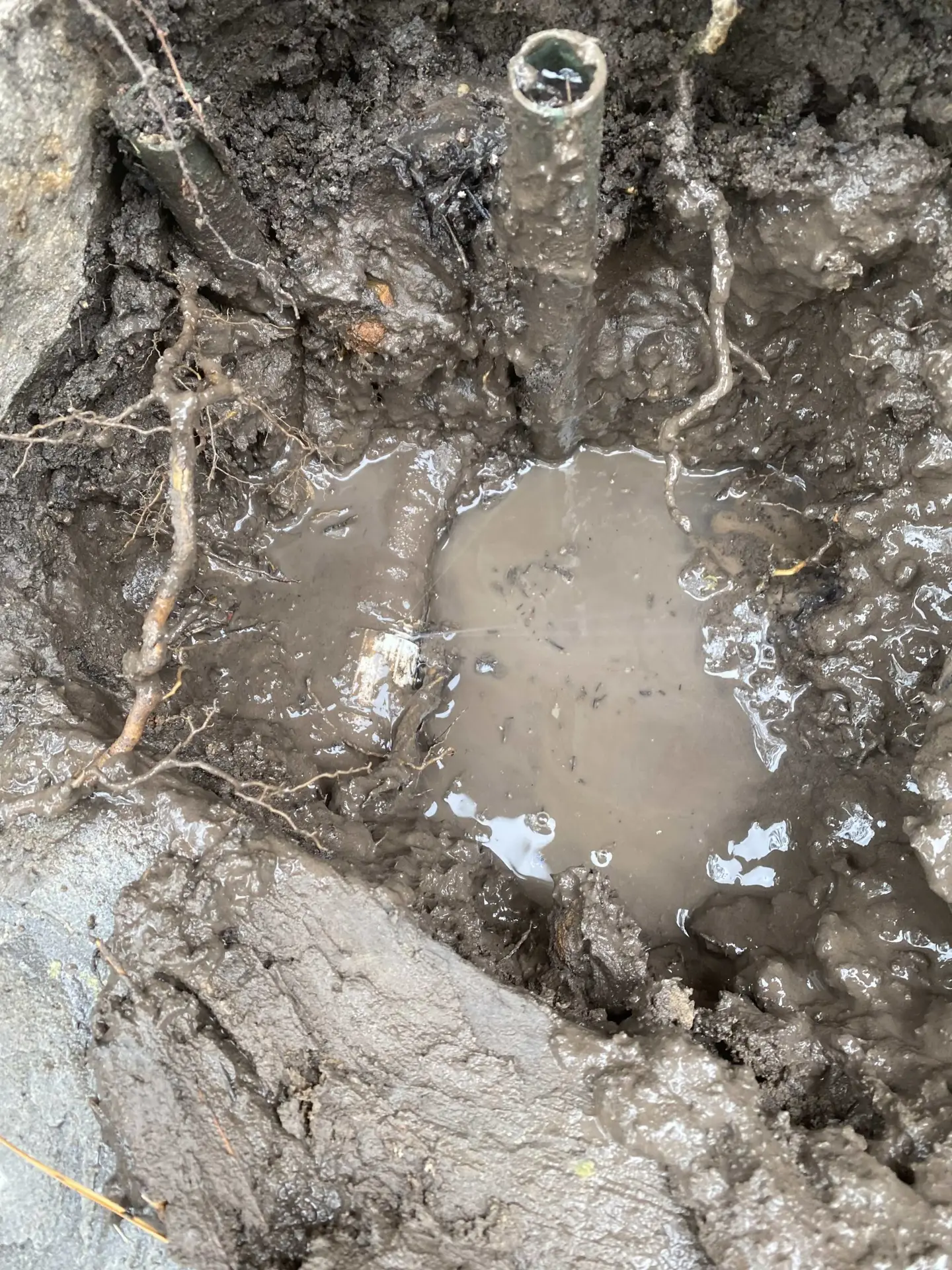 leak in sprinkler mainline