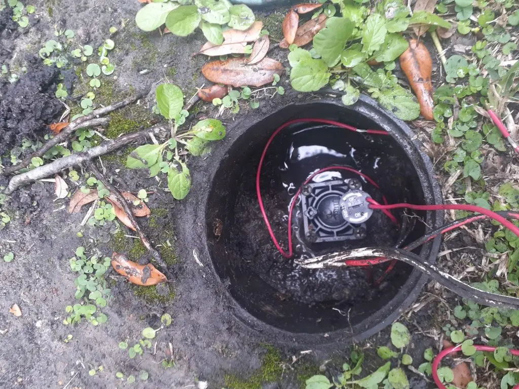 valve replacement in Barton Creek