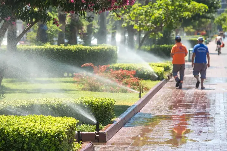 Sprinkler Repair