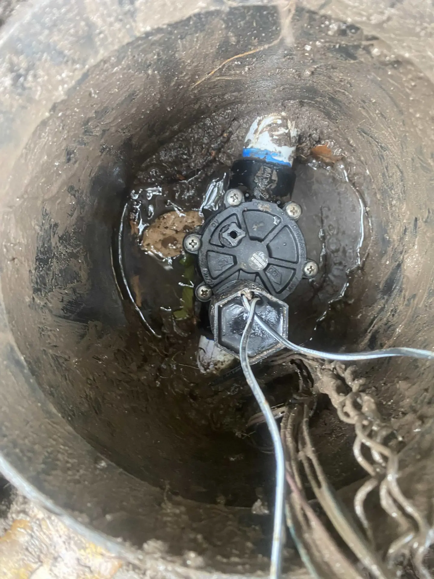 sprinkler valve Rainbird DV-100