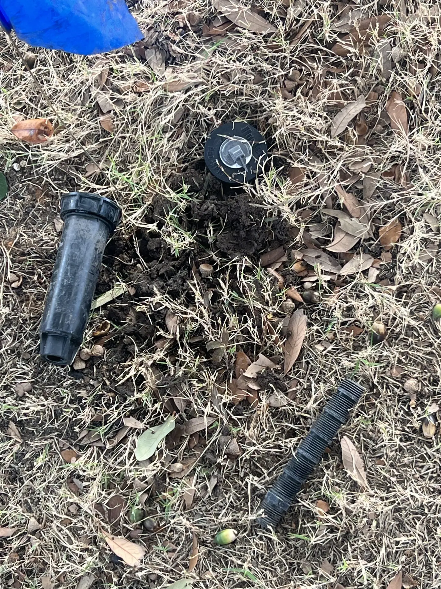 sprinkler heads replaced