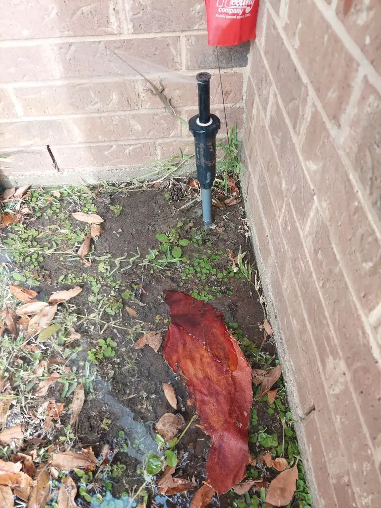 Anna irrigation repair