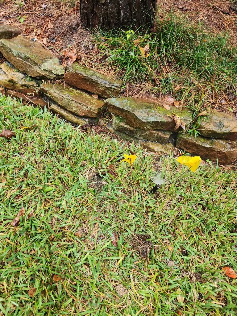 straighten sprinkler head in Benbrook