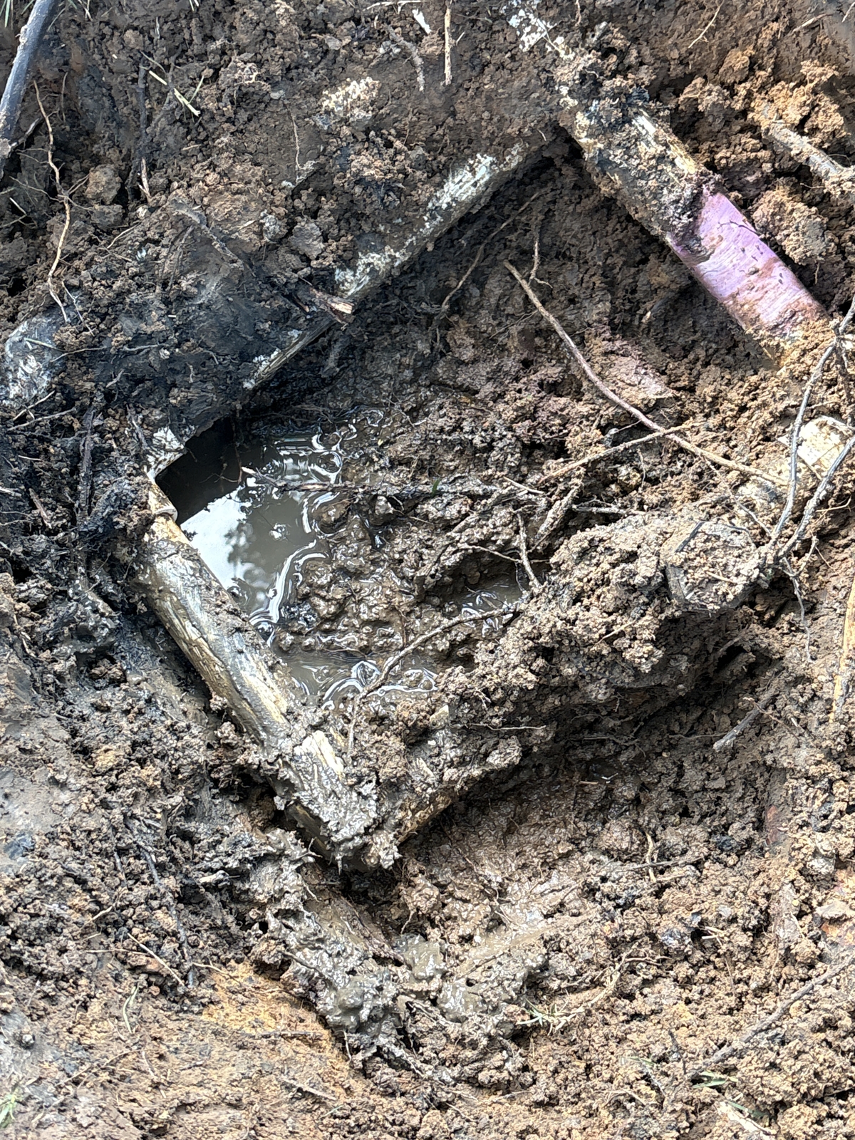 Before Sprinkler Repair Diagnostic