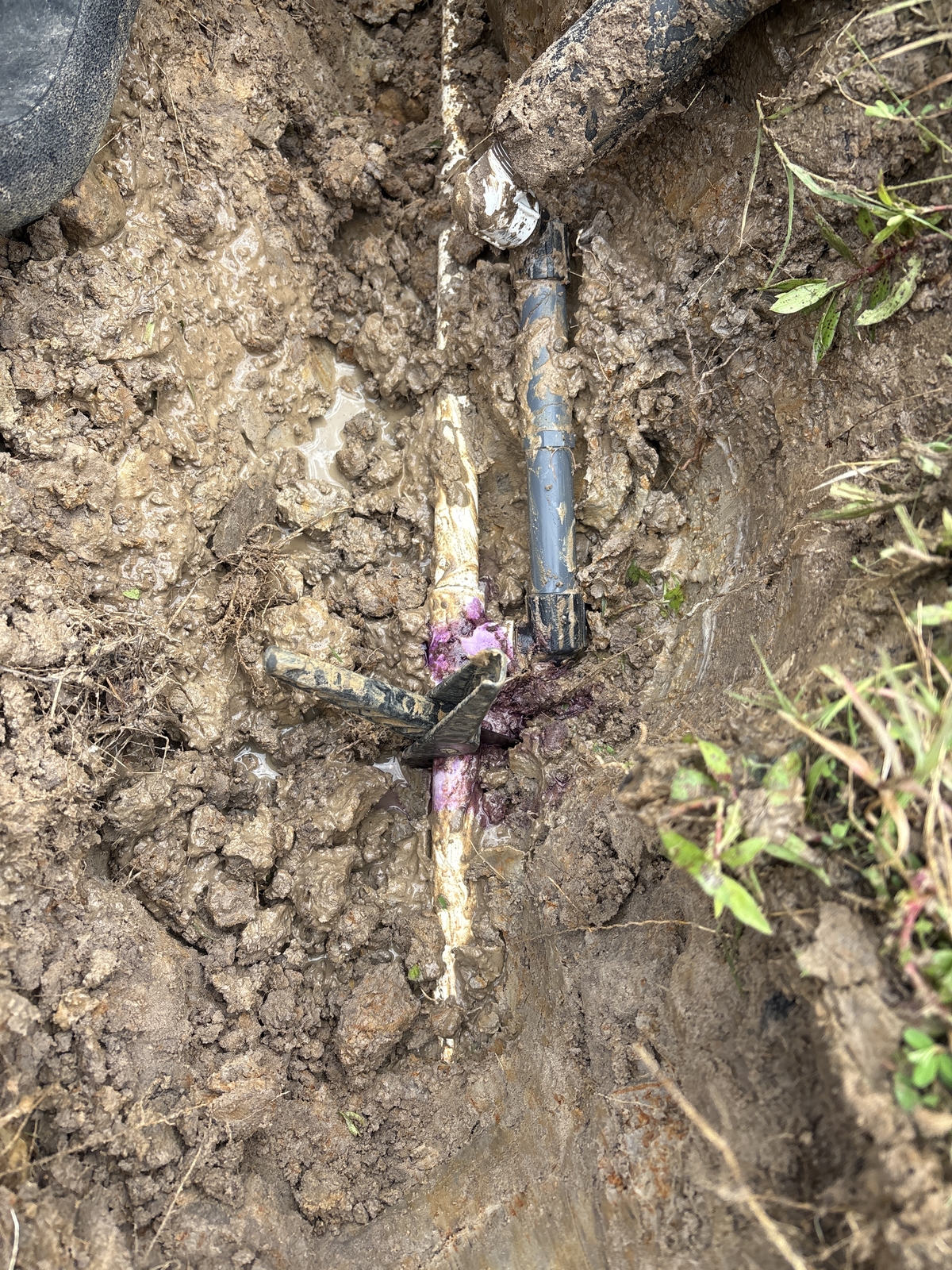 Before Rainbird Spray Heads - Replacement
