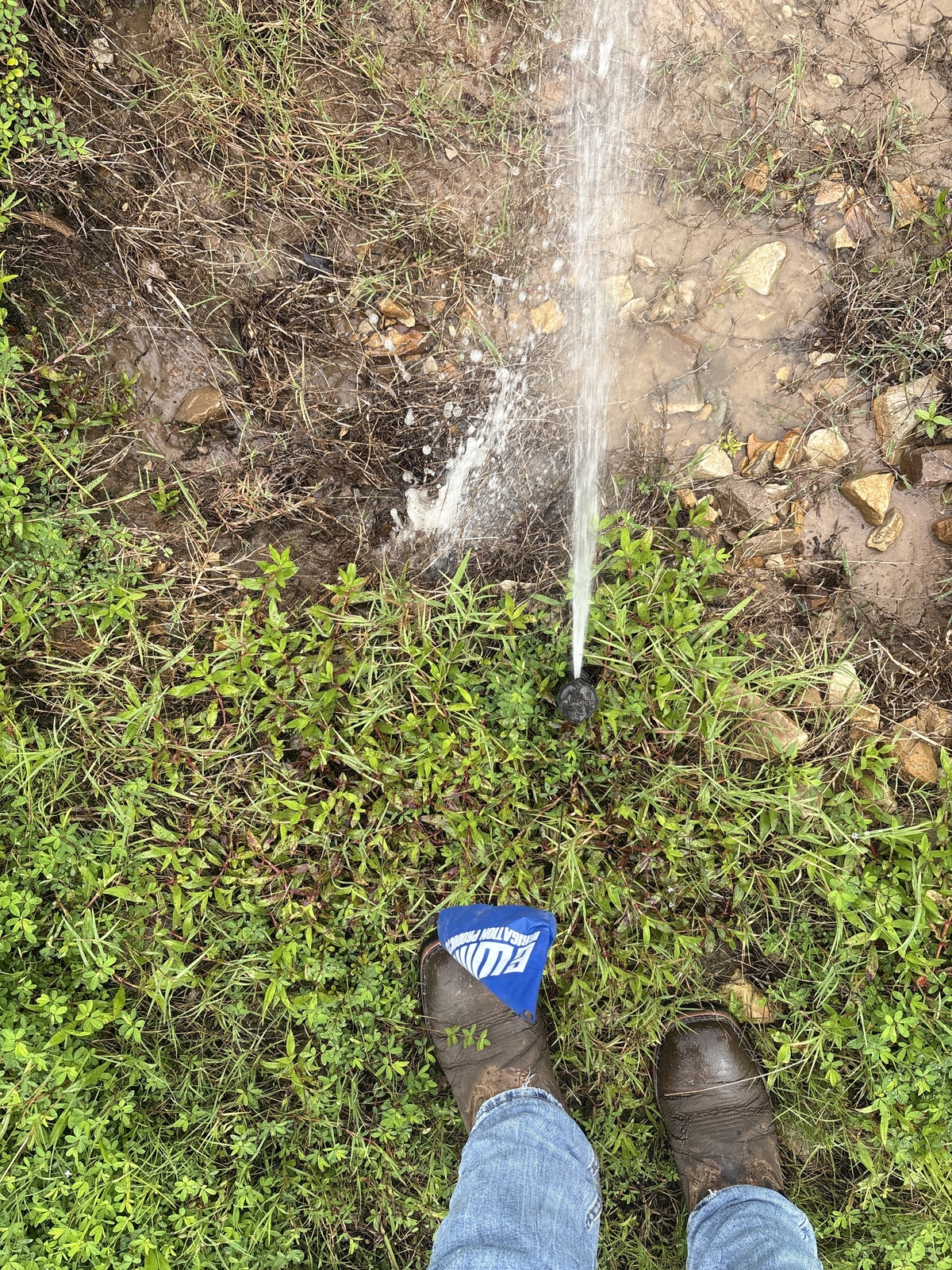 After Rainbird Spray Heads - Replacement